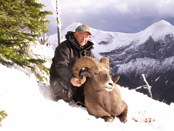 bighorn kill